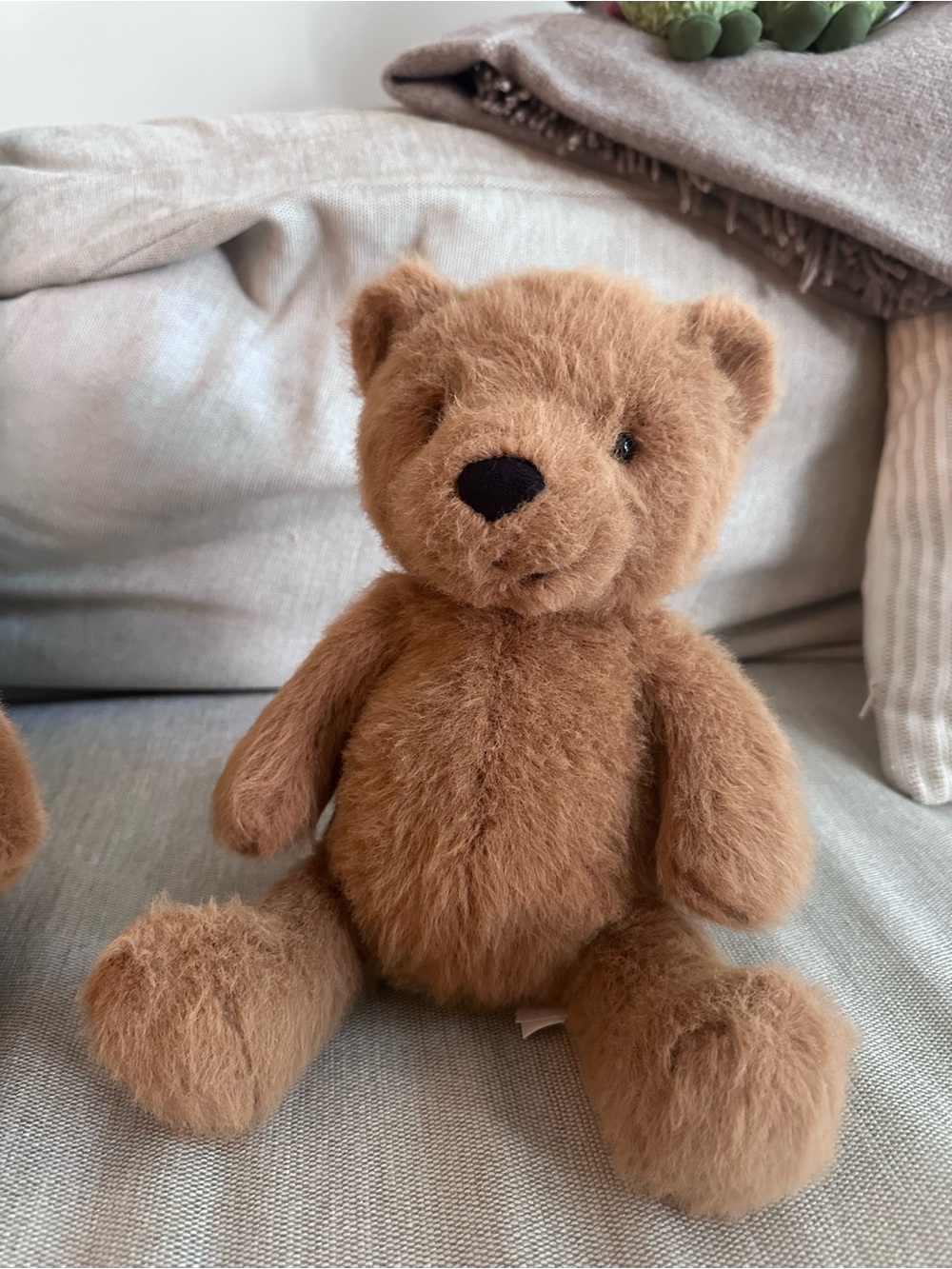 Jellycat Maple Bear OG release